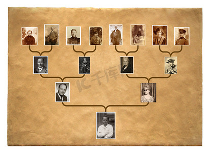 族谱摄影照片_树上的家族史