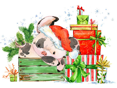 猪年摄影照片_中国的猪年。新年贺卡。水彩卡通小猪插图。冬季假期手画背景