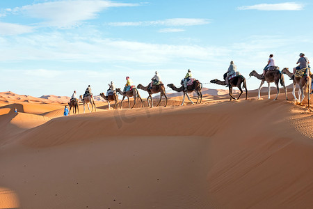 撒哈拉沙漠摄影照片_经历着沙丘撒哈拉沙漠中的骆驼商队,