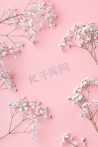 白色的小吉普赛花躺在粉色背景的框架内，上面有文字.