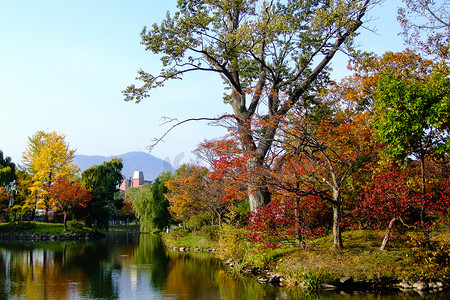 秋天的湖畔五颜六色的树叶和树木, 蓝色的天空和白云.