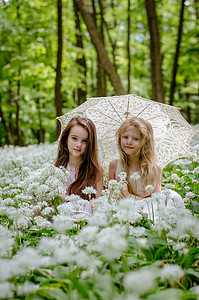 愉快的朋友女孩享受时间在春天森林里