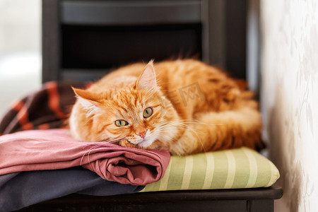 可爱的姜猫睡在一堆衣服上。毛茸茸的宠物在羊毛衫间打瞌睡。舒适的家庭背景.