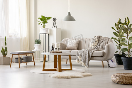 真正的照片, 一个米色的沙发与垫子和毯子站在桌子前, 在一个客厅里的灯在室内与植物和装饰品