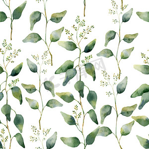水彩绿色无缝花纹与开花桉树。手绘用树枝和树叶的桉树孤立在白色背景上的模式。设计或背景