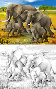 safari-大象-彩页-儿童插画