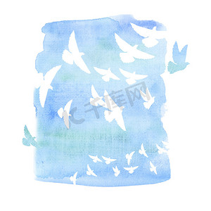 鸽子在天空水彩手绘制的插图