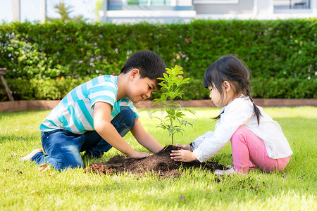 幼儿园门头摄影照片_夏日，亚洲兄弟姐妹一起在黑土上种植幼树，在自家花园拯救世界。植树。幼儿及户外休憩的概念