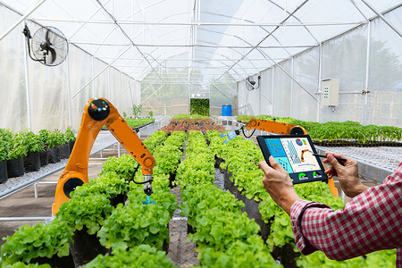 农民在农业未来机器人自动化中举办平板智能机器人收获, 提高工作效率