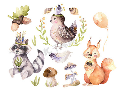 可爱的水彩波希米亚婴儿卡通刺猬, 松鼠和驼鹿动物为 nursary, 林地孤立森林插图为儿童。兔子动物.