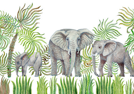 无缝边花纹的水彩斑斓的草原动物.手绘非洲象、棕榈叶、草、香草、白色背景的灌木