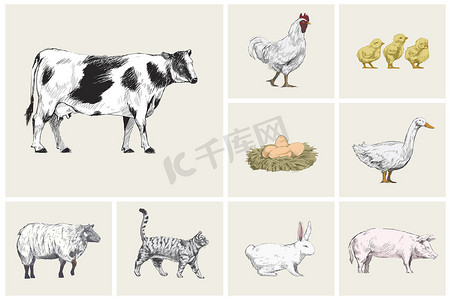 动物收藏插图绘画风格