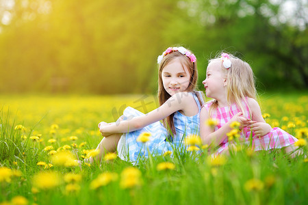 儿童采摘摄影照片_女孩在盛开的蒲公英草甸