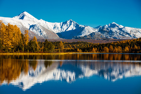 山湖中雪山雪白的倒影.初雪落在金黄色的秋树上