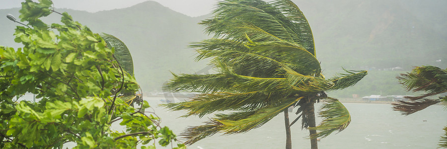 水纹banner摄影照片_热带暴雨、暴雨及热带气候中的强风