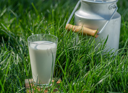 夏日晴天，绿草里可以放一杯鲜牛奶和牛奶.