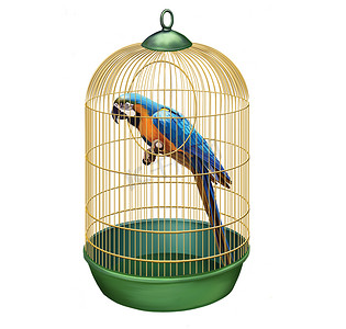 鹦鹉在复古的笼子里。大蓝金刚鹦鹉 (Ara ararauna) 在鸟笼