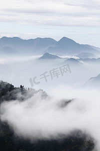 单色摄影照片_山与树和雾的单色彩色