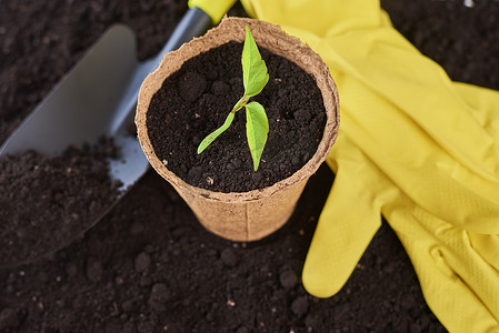 盆栽,小铲子和黄色手套在土壤上.植物护理概念