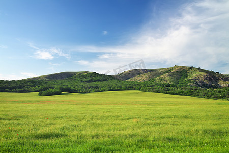绿色草地摄影照片_山中的绿色草地。自然的组成. 