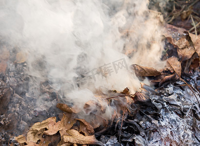 烟雾火焰摄影照片_用干叶燃着的火。 燃烧树叶产生的火焰和烟雾