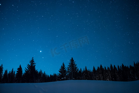 圣诞树摄影照片_圣诞树的背景下, 繁星满天的冬日。奥斯陆