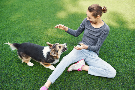 有趣的威尔士科尔吉犬和笑着的快乐女人坐在草地上，在户外玩耍，在一起度过时光。人与狗的概念友谊，遛狗