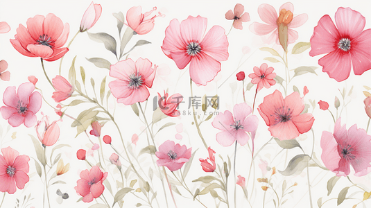 水彩花卉背景 手绘制