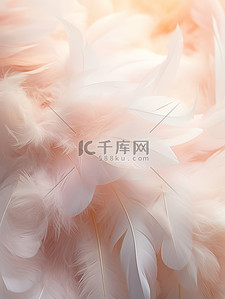羽毛球logo背景图片_柔和蓬蓬的羽毛背景15