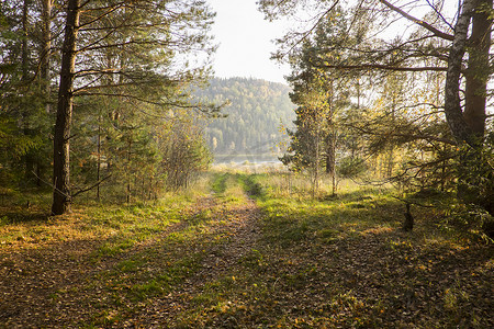 积雪小路摄影照片_穿过森林的小路俄罗斯乌拉尔