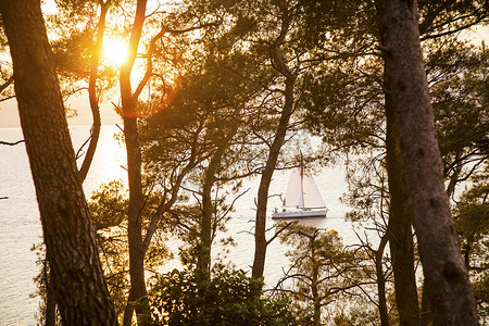暮光森林摄影照片_克罗地亚达尔马提亚斯普利特沿海森林的夕阳