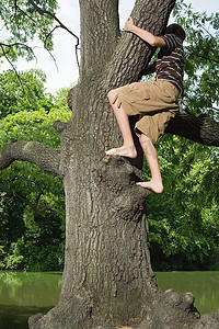 十几岁的男孩爬树