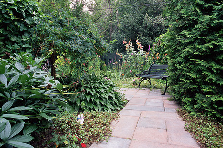花园中的小路和长凳