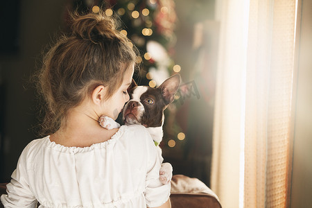 抱着蛋糕的女孩摄影照片_圣诞树前抱着波士顿梗犬的女孩的后视线
