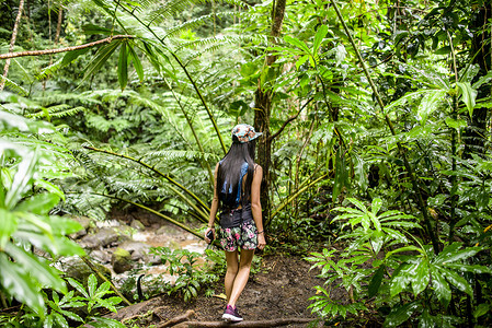 年轻女性游客在美国夏威夷瓦胡岛马诺阿瀑布丛林中漫步的背影