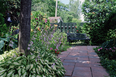 花园中的小路和长凳