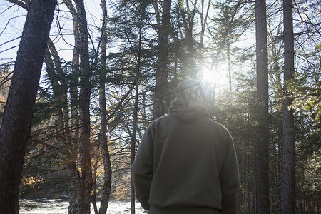 漫步摄影照片_美国缅因州阳光明媚的森林中行走的成熟男子的后视线