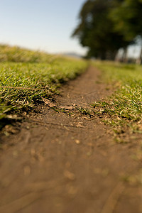 穿过草地的小路曲面视图