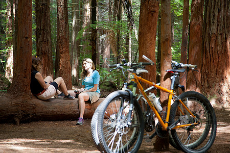 小手拉大手摄影照片_两名女山地自行车手在森林的树干上聊天