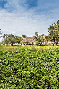 东南亚风光摄影照片_柬埔寨暹粒附近的村寺庙的村礼堂