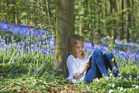 比利时布鲁塞尔哈勒博斯蓝铃森林里靠在树上写生的女孩