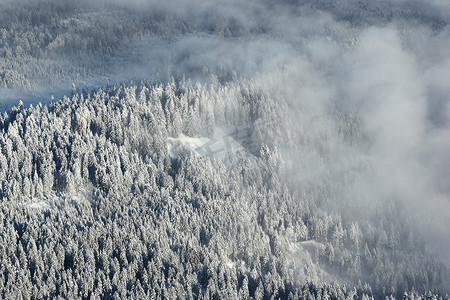 白雪覆盖的树木皮拉图斯山瑞士阿尔卑斯山瑞士