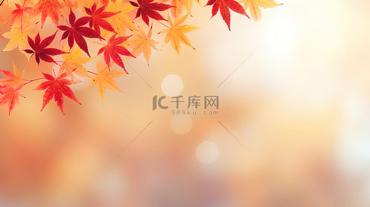 秋季红黄色枫叶秋色背景2
