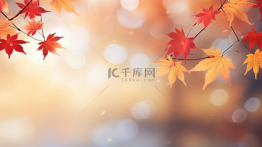 秋季红黄色枫叶秋色背景10