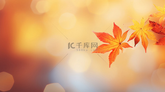 秋季红黄色枫叶秋色背景16
