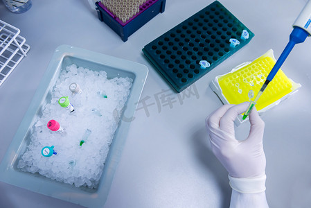癌症研究实验室科学家手中的细胞在液氮低温保存室中零度以下储存后保存在冰中