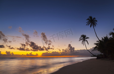 落日流水摄影照片_加勒比海多米尼加海滩上棕榈树的落日剪影