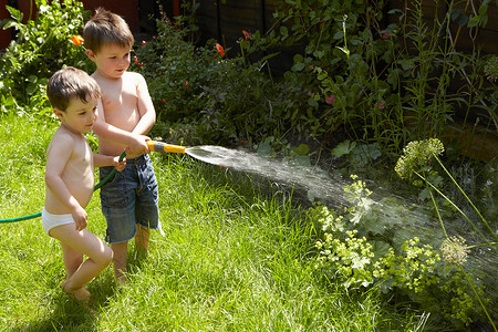 男孩在花园里给植物浇水