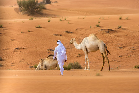 阿拉伯联合酋长国迪拜一名身穿传统服装的中东男子在沙漠中走向骆驼