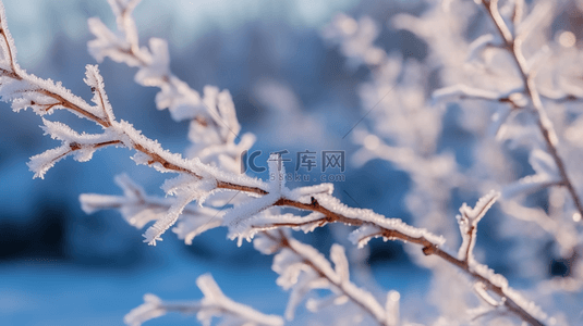 寒露霜降背景图片_二十四节气霜降树枝霜雪枝条